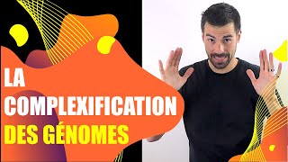 COURS DE TERMINALE SPÉCIALITÉ SVT  CHAP3 LA COMPLEXIFICATION DES GÉNOMES Bio Logique [upl. by Speroni]