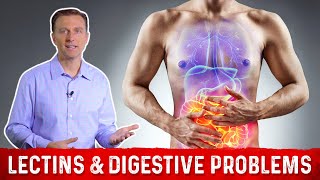 High amp Low Lectin Foods amp Digestive Problems Explained by DrBerg [upl. by Ingles]