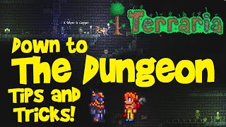 Into The Dungeon Tips and Tricks Chests Keys amp Loot Terraria 13 Lets Play Guide 17 [upl. by Etteinotna]