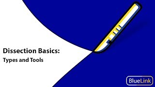 Dissection Basics  Types and Tools [upl. by Helprin970]