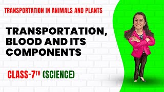 Transportation in Animals and Plants Part 1 Class 7th Science  Junoon pro [upl. by Iram]