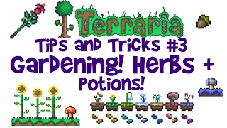 Terraria Gardening Guide Mushroom Herb Potion Farm etc Tips amp Tricks 13 AND consolemobile [upl. by Dacy]