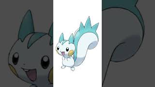 Facts about Pachirisu you might not know  Pokemon Facts [upl. by Pettit]