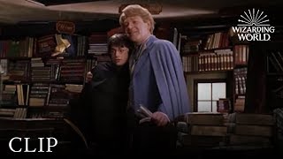 Gilderoy Lockhart  Harry Potter and the Chamber of Secrets [upl. by Junna]