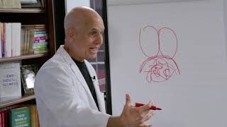 How to Break a Panic Attack in 2 Minutes  Dr Daniel Amen and Nikki Leigh panicattack [upl. by Arabeila404]