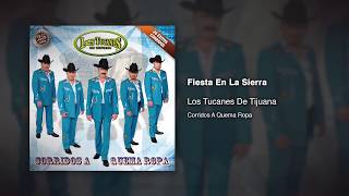 Fiesta En La Sierra  Los Tucanes De Tijuana Audio Oficial [upl. by Eicrad]