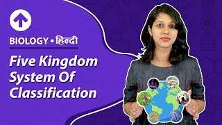 Five Kingdom System Of Classification  Hindi  Biology [upl. by Sergias116]