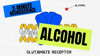 2Minute Neuroscience Alcohol [upl. by Bergstrom805]