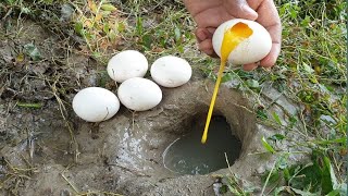 Increíble La Pesca Con Huevos Naturalmente De Los Alimentos De La Pesca 3R R [upl. by Yebba263]