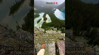 Discover Lake OHara A Canadian Natural Gem  Yoho National Park Travel Guide [upl. by Dzoba]