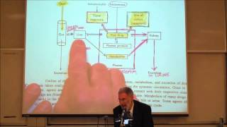 PHARMACOKINETICS Absorption amp Distribution by Professor Fink [upl. by Nalon]