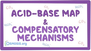 Acidbase map and compensatory mechanisms [upl. by Tower]