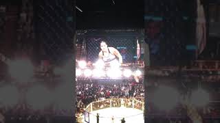 UFC 232 Amanda Nunes vs Chris cyborg full fight live [upl. by Aseneg]