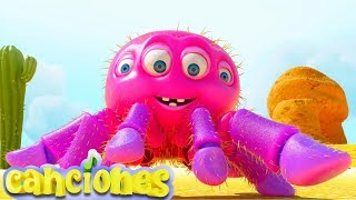 Itsy Bitsy Araña Canciones Infantiles  LooLoo [upl. by Ibot]