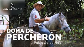 ⚡ Doma de potro PERCHERÓN 🐴  Pablo Saldarriaga [upl. by Binetta]