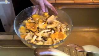 eplucher les girolles [upl. by Gerda]