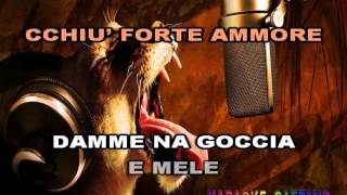 Tommy Riccio Ammore amaro Karaoke [upl. by Zerimar]