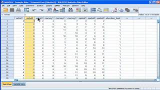 MANOVA  SPSS part 1 [upl. by Messere]