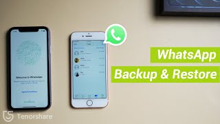 Full Guide WhatsApp backup amp restore with iCareFone for WhatsApp Transfer [upl. by Anigger3]