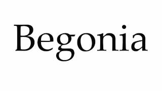 How to Pronounce Begonia [upl. by Somerset298]