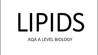 LIPIDS AQA A LEVEL BIOLOGY  EXAM QUESTION RUN THROUGH [upl. by Akerboom]