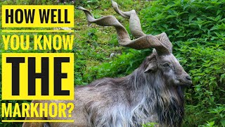 Markhor  Description Characteristics and Facts [upl. by Rodolfo780]