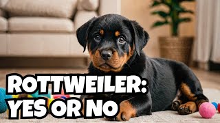 Should You Get A Rottweiler Puppy [upl. by Rediah702]