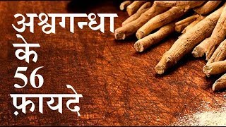 अश्‍वगंधा के 56 फ़ायदे  56 SUPER benefits of Ashwagandha by puneet biseria [upl. by Amlez670]