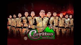 CHIQUITA Imparable Banda Cerritos [upl. by Hess319]