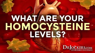 What are Your Homocysteine Levels [upl. by Eniamahs]