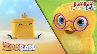 RuffRuff Tweet and Dave  Zoobabu  Chick AND MORE  Cartoons for Children [upl. by Rodi]