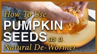 Pumpkin Season  Using The Seeds As A Dewormer [upl. by Jacinda]