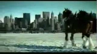 Budweiser 911 tribute commercial [upl. by Zumwalt]