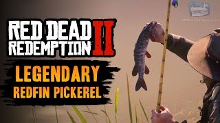 Red Dead Redemption 2 Legendary Fish  Legendary Redfin Pickerel [upl. by Nimaj]