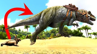 All Rideable Dinosaurs and Creatures on The Island Ark Survival Evolved [upl. by Budd926]