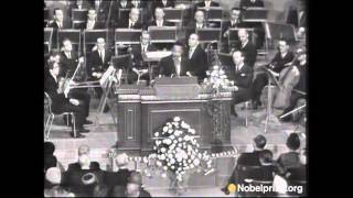 Martin Luther King Jr Nobel Peace Prize Acceptance Speech [upl. by Sloane]