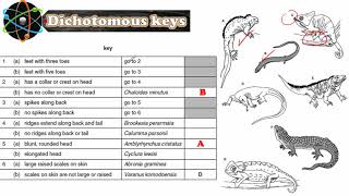 Dichotomous Keys Biology IGCSE [upl. by Nordgren513]