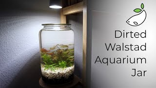 How To  Dirted Walstad Aquarium Jar [upl. by Down]