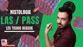 Le TISSU OSSEUX  🦴 Ostéoblastes Ostéoclastes remodelage osseux Rien de bien compliqué [upl. by Earal107]