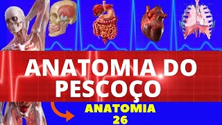 ANATOMIA DO PESCOÇO ANATOMIA HUMANA  ESTRUTURAS DO PESCOÇO E ANATOMIA [upl. by Grindlay]