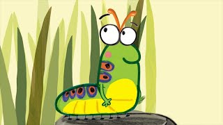 The Very Impatient Caterpillar Accessible Preview [upl. by Carmelia]