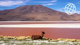 Bolivia Altiplano amp Salar de Uyuni Amazing Places 4K [upl. by Llyrat]