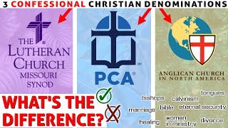 LCMS vs PCA vs ACNA Whats the Difference [upl. by Rafaelita]