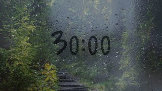 30 Minute timer with rain sounds [upl. by Ocirne]