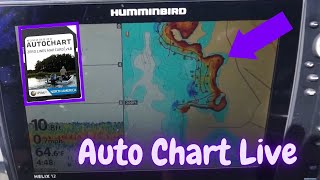 How to Transfer AutoChart Live Data Hummingbird Tutorial [upl. by Anaytat]