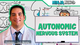 Neurology  Autonomic Nervous System [upl. by Nylanaj556]