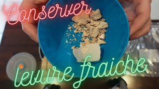 COMMENT CONSERVER LA LEVURE DE BOULANGER FRAICHE [upl. by Icyaj799]