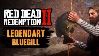 Red Dead Redemption 2 Legendary Fish  Legendary Bluegill [upl. by Templer]