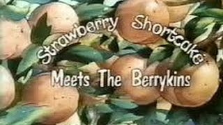 Strawberry Shortcake Meets The Berrykins  1985 [upl. by Stieglitz]