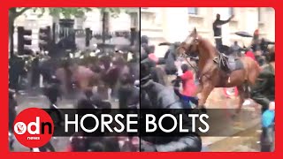 Police Officer Knocked Off Horse in Shocking Incident at London Protest [upl. by Wyatt]